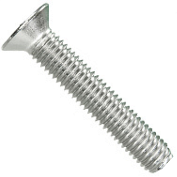 SCREW SCREW